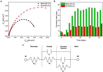 Deep learning strategies for addressing issues with small datasets in 2D materials research: Microbial Corrosion